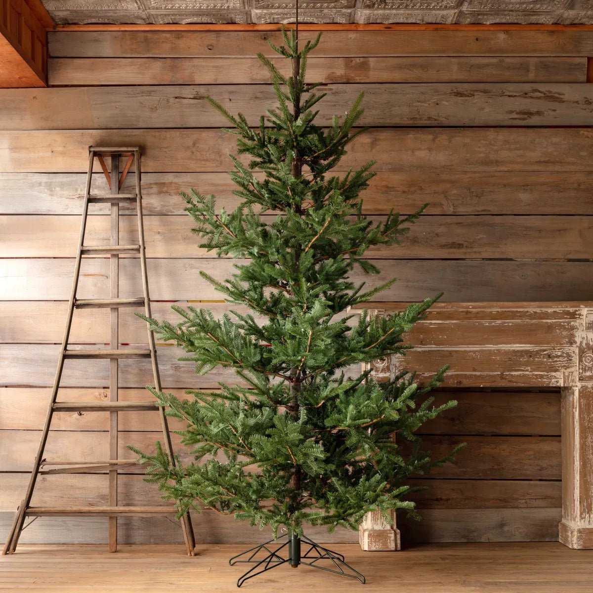 10&#39; Noble Fir Tree With Lights - A Cottage in the City