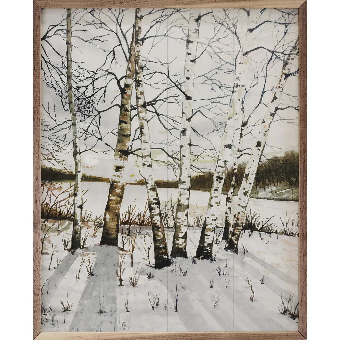 Birch Trees In Winter Wood Framed Print