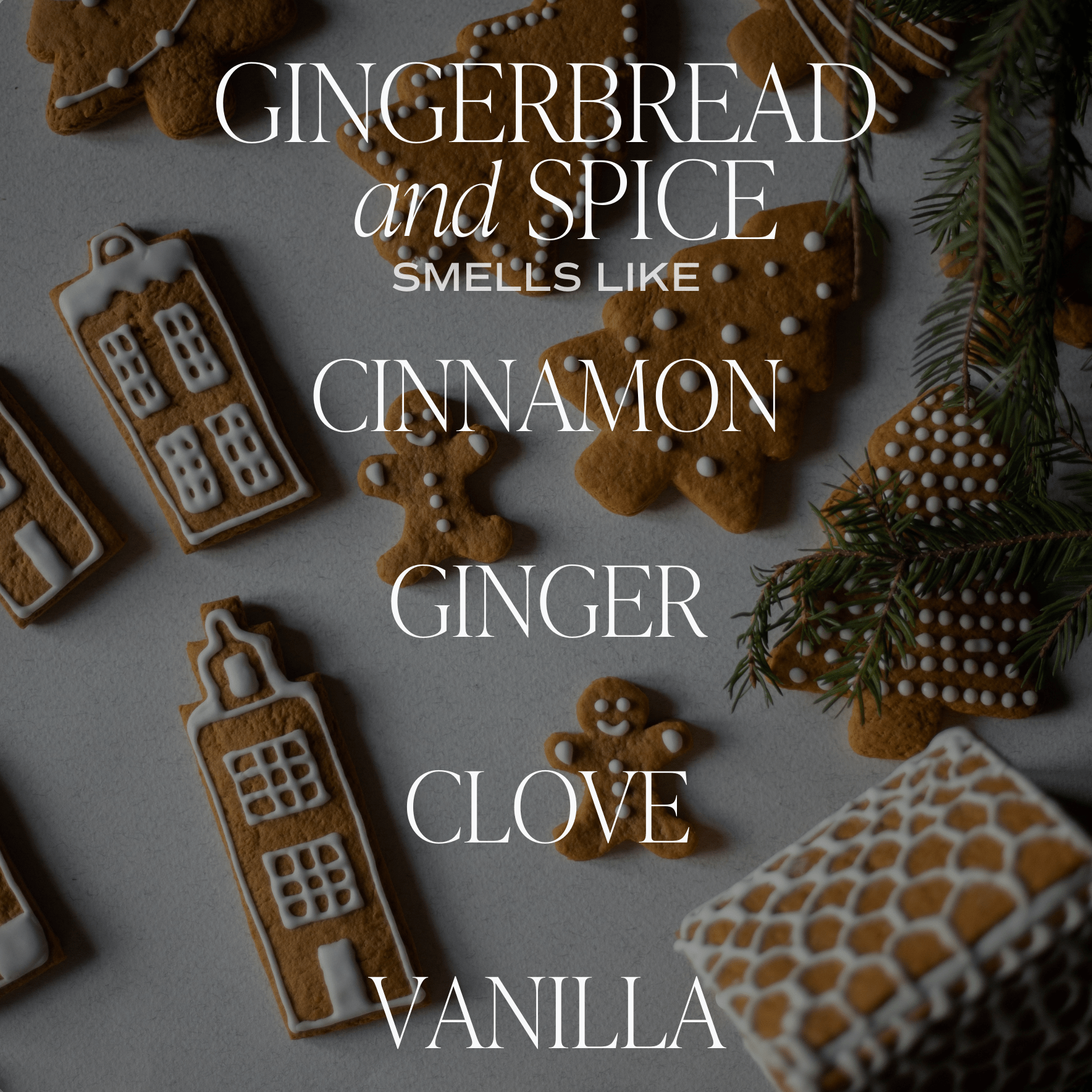 Gingerbread & Spice Amber Jar Candle