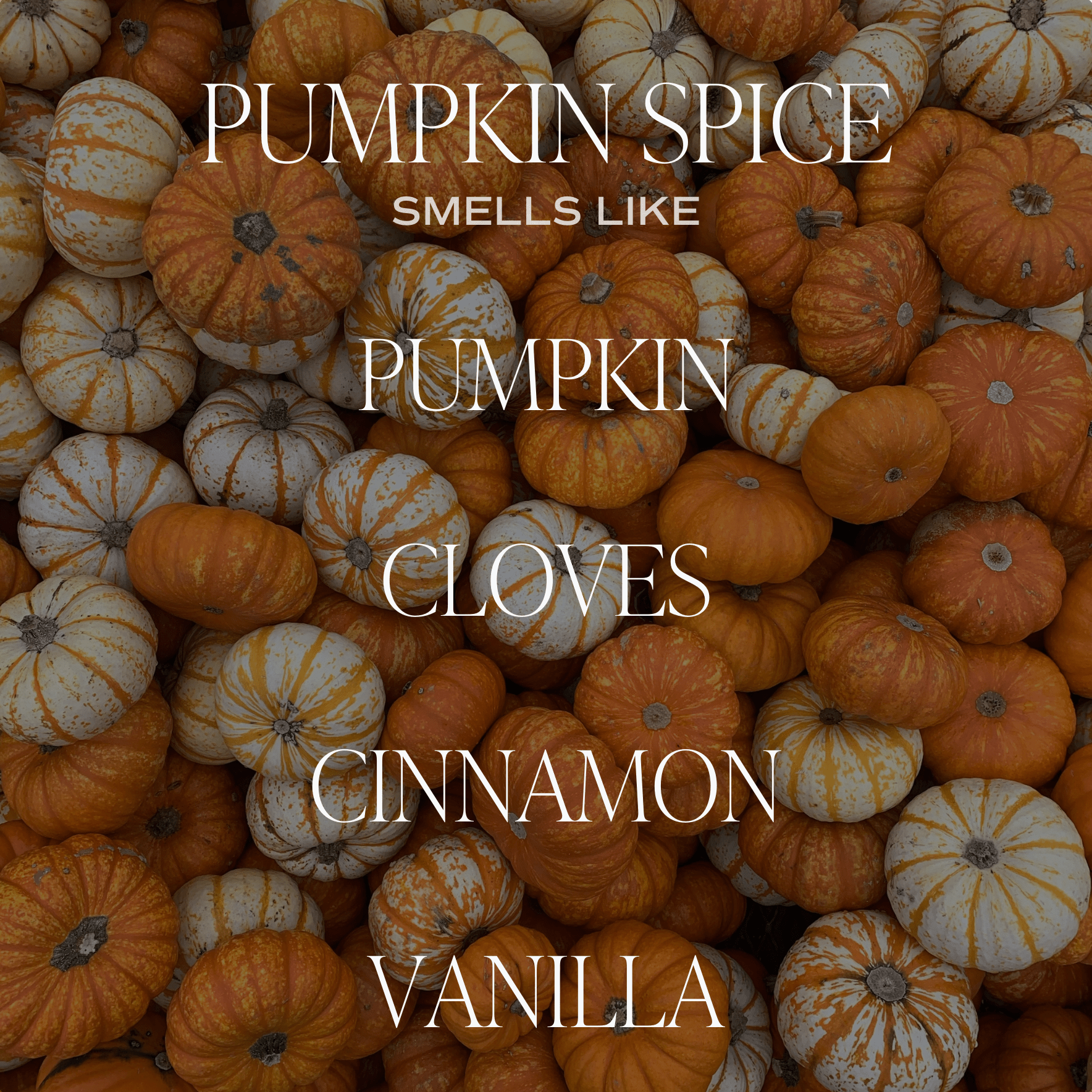 Pumpkin Spice White Jar Candle