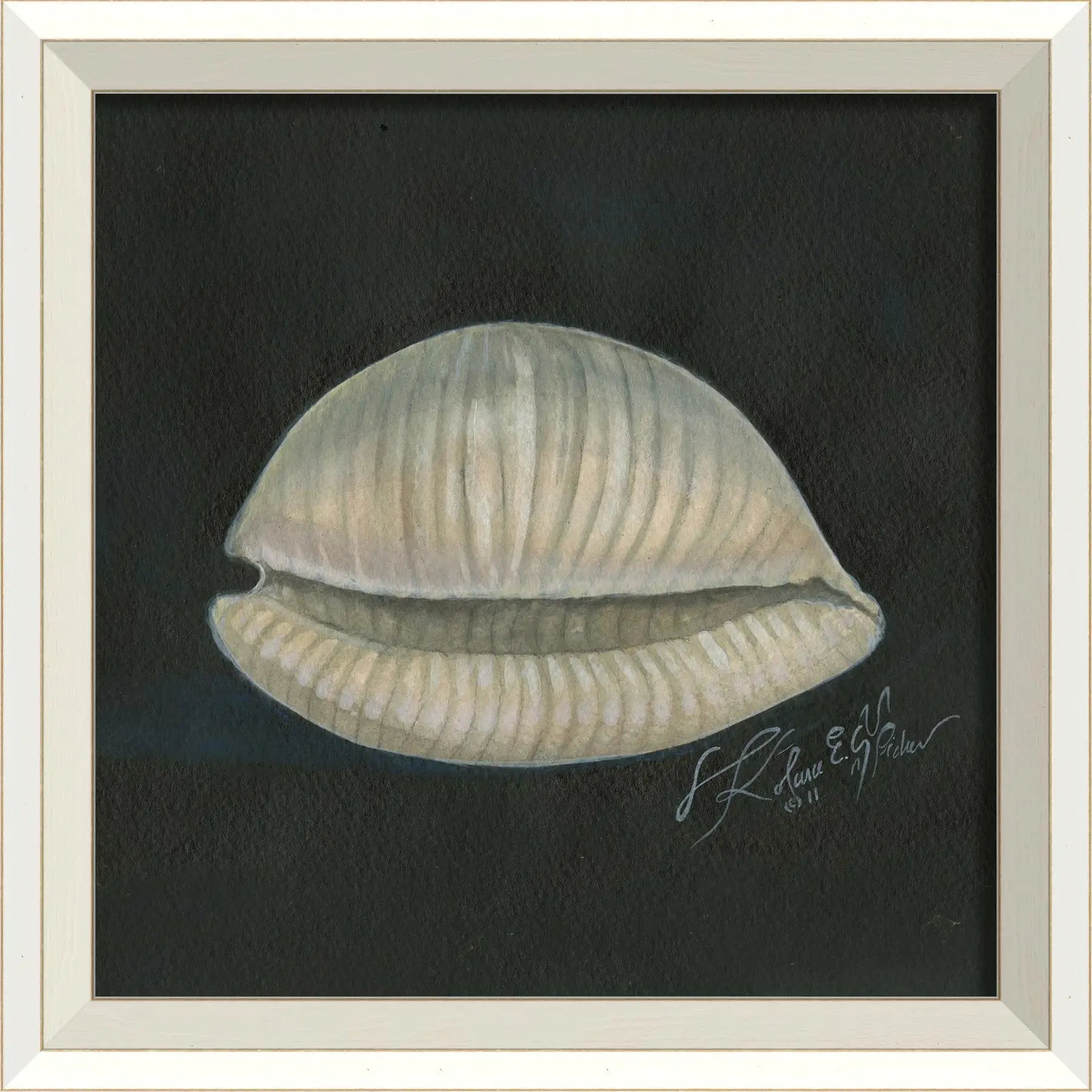 Seashell Art Print With White Frame