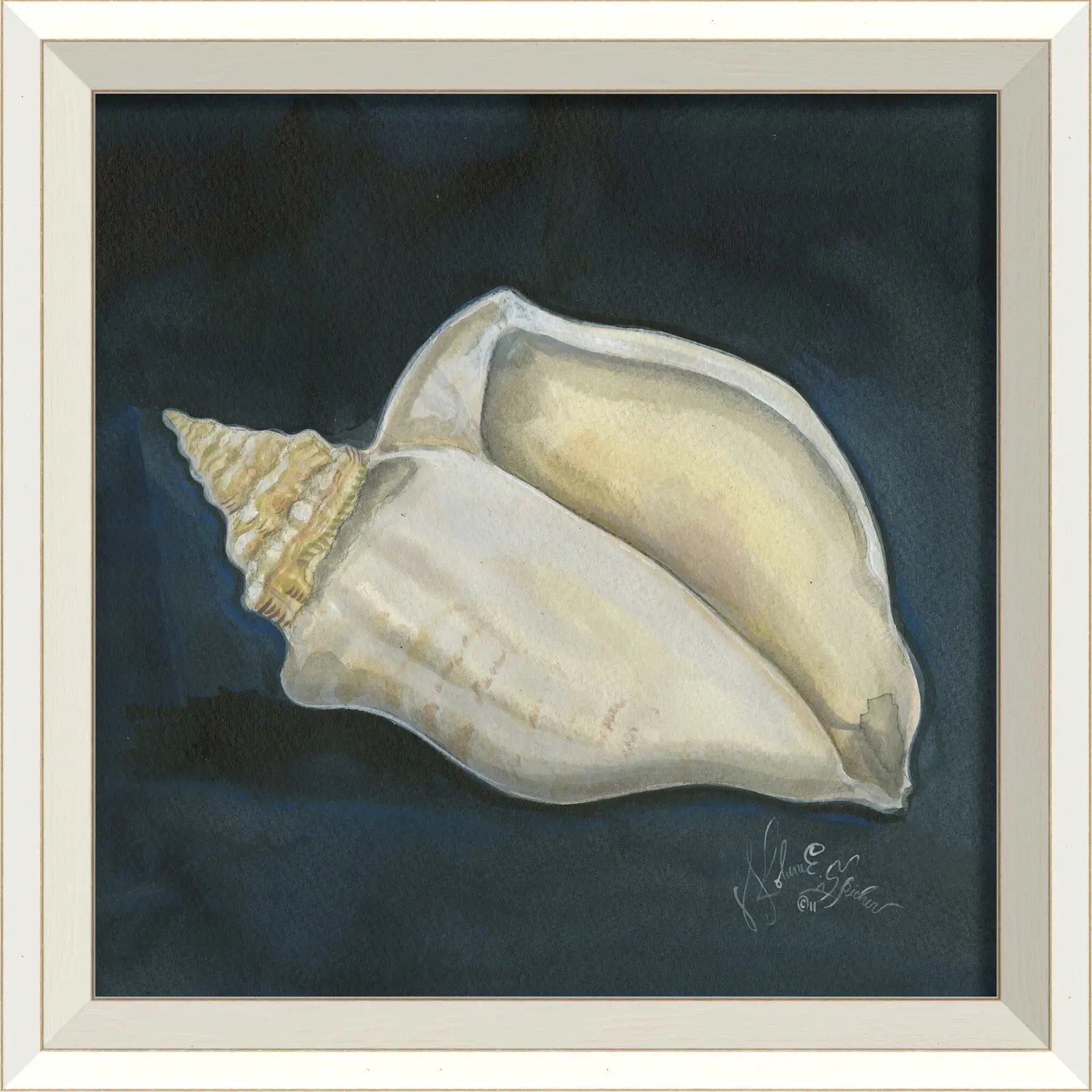 Seashell Art Print With White Frame