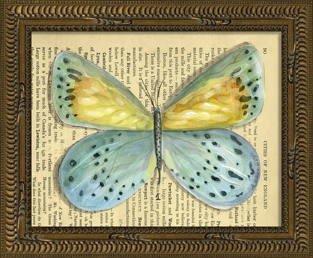 KG Butterfly Framed Art Print