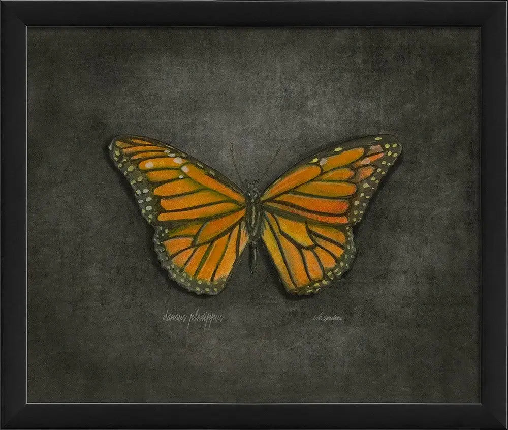 Butterfly Art Print