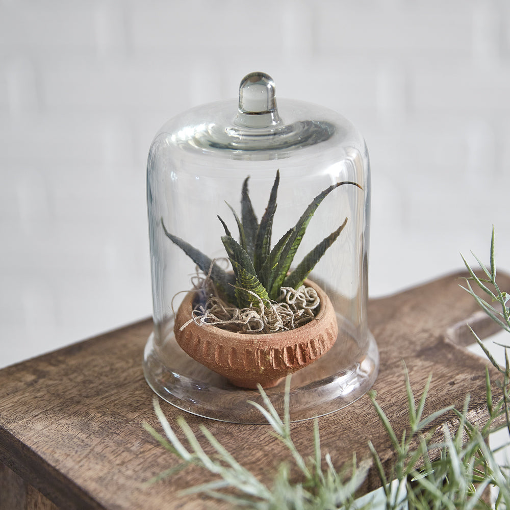 Miniature Glass Bell Cloche Set