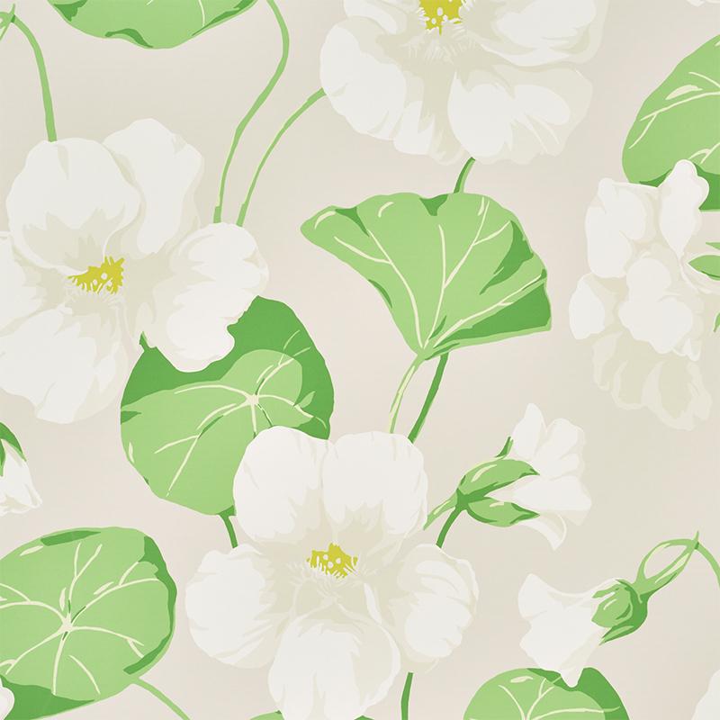 Schumacher Nasturtium Wallpaper