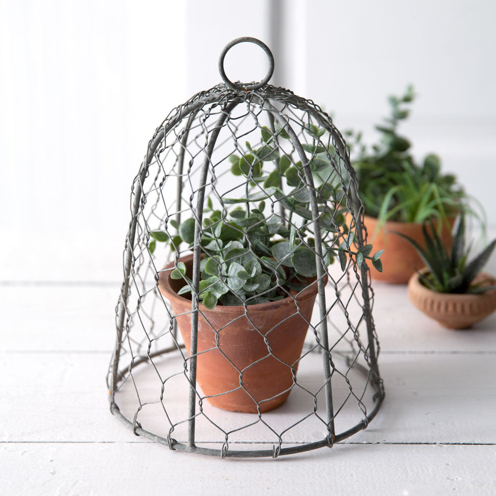 Chicken Wire Cloche