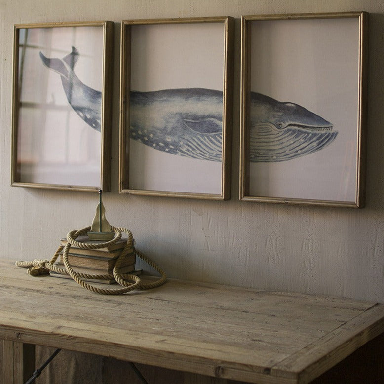 Framed Whale Triptych Print Under Glass