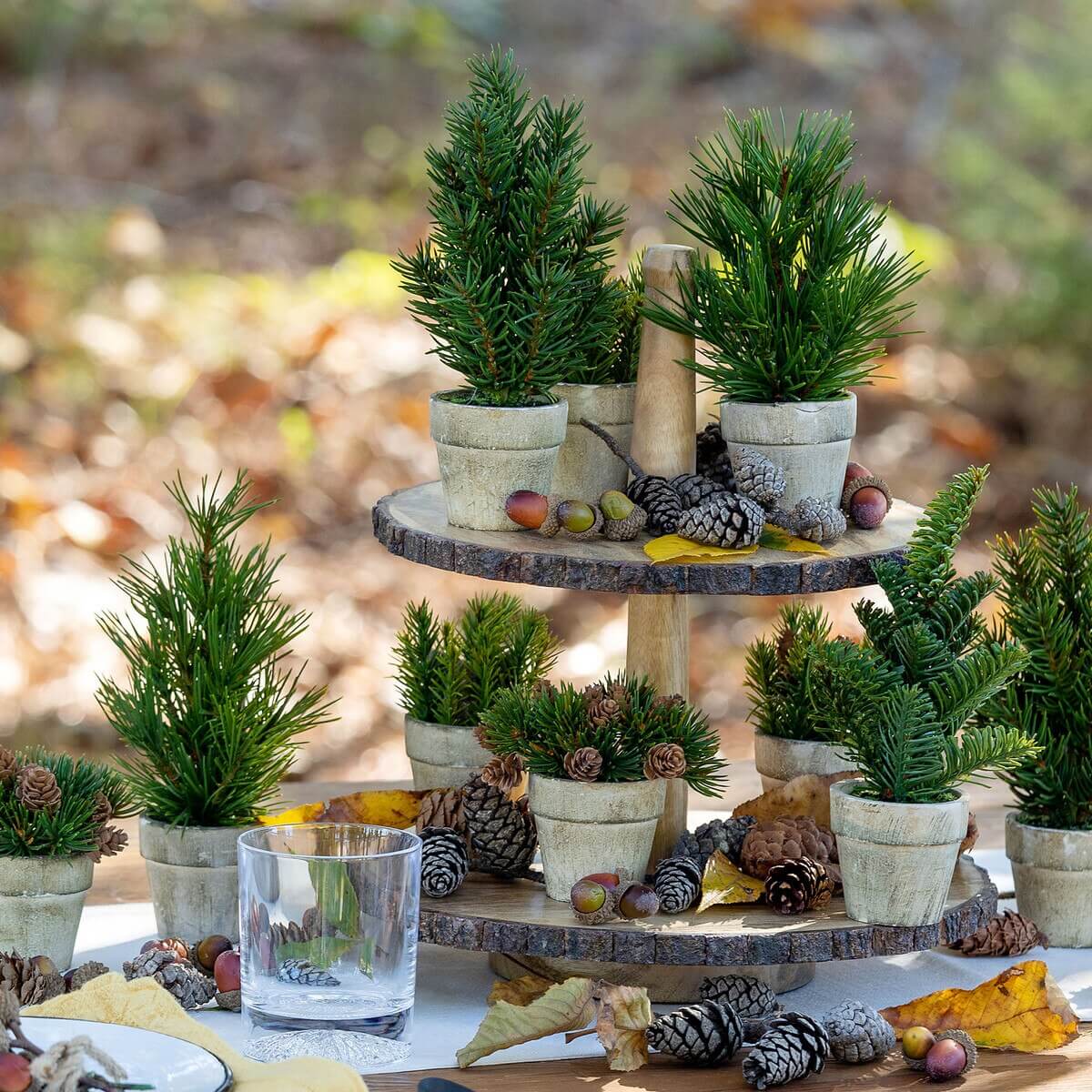 Woodland Tiered Server