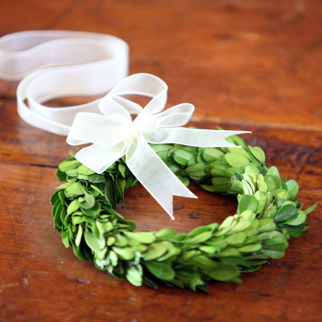 Mini Preserved Boxwood Wreaths Set