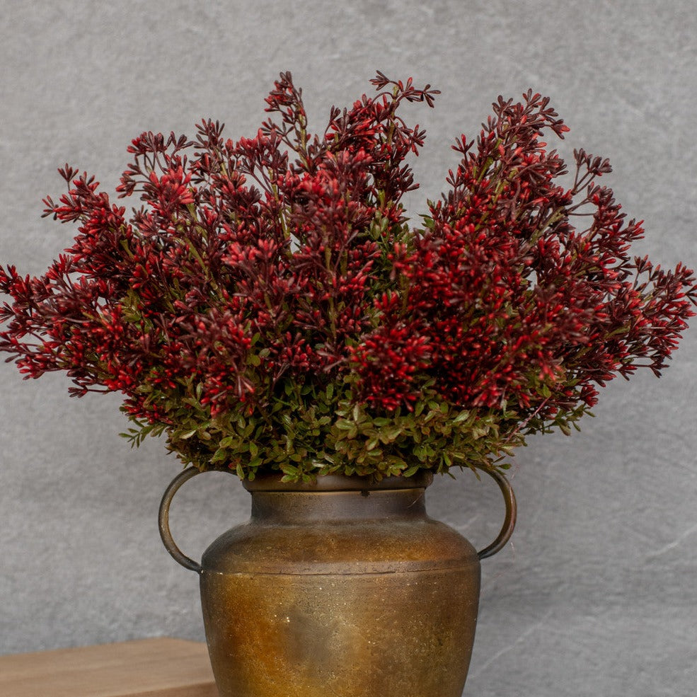 New England Boxwood and Berry Bush