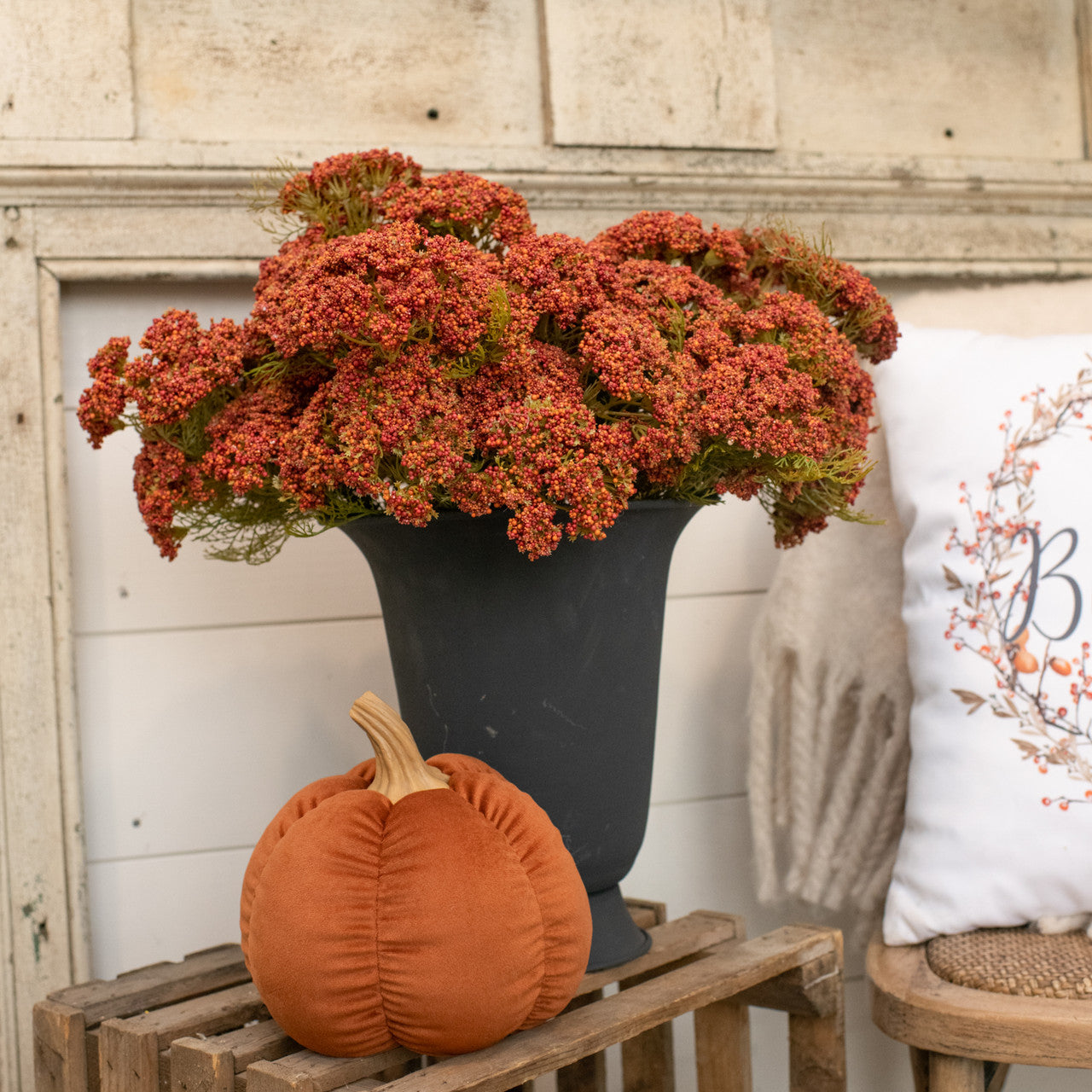 Orange and Red Queen Anne Lace Bush