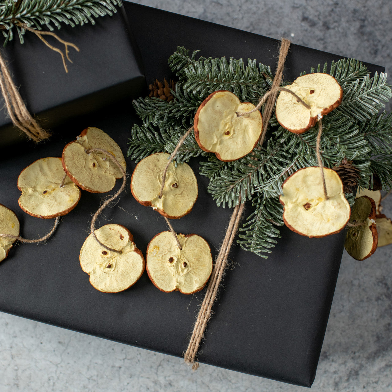 Apple Slice Garland