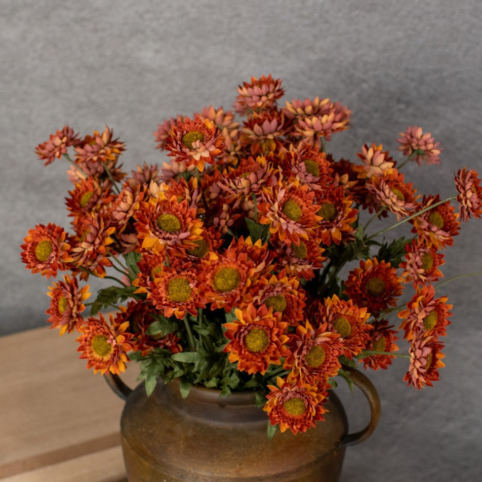 Burgundy Strawflower Spray