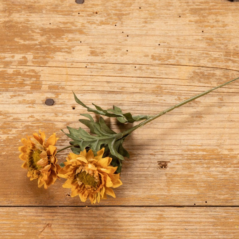 Golden Yellow Strawflower Pick