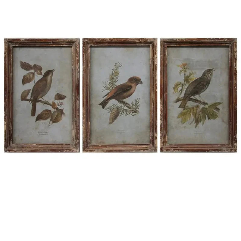 Collected Bird Print Set