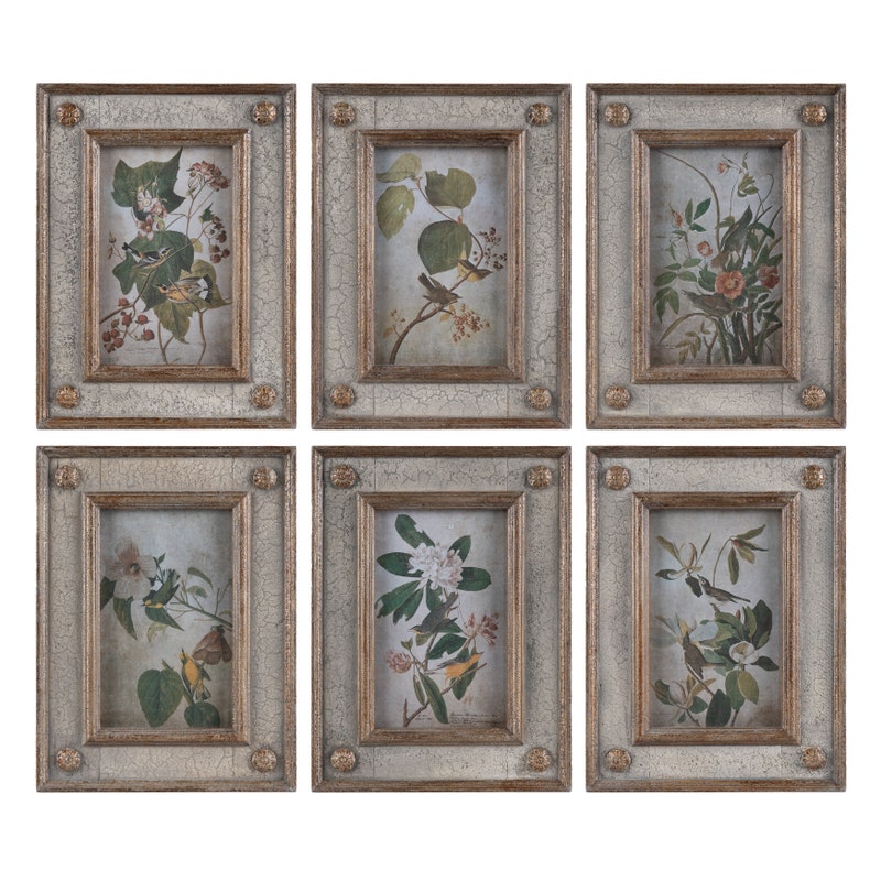 Framed Bird & Floral Aged Print Collection Set