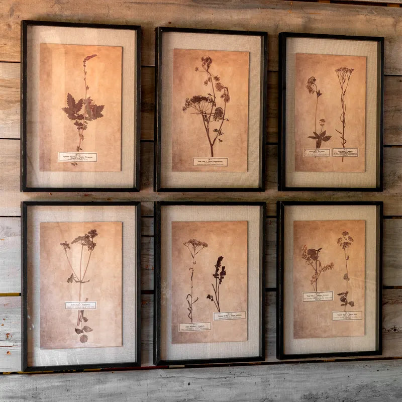 Pressed Botanical Prints Set