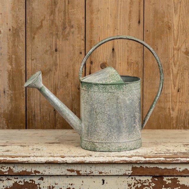 Aged Green Watering Can - A Cottage in the City