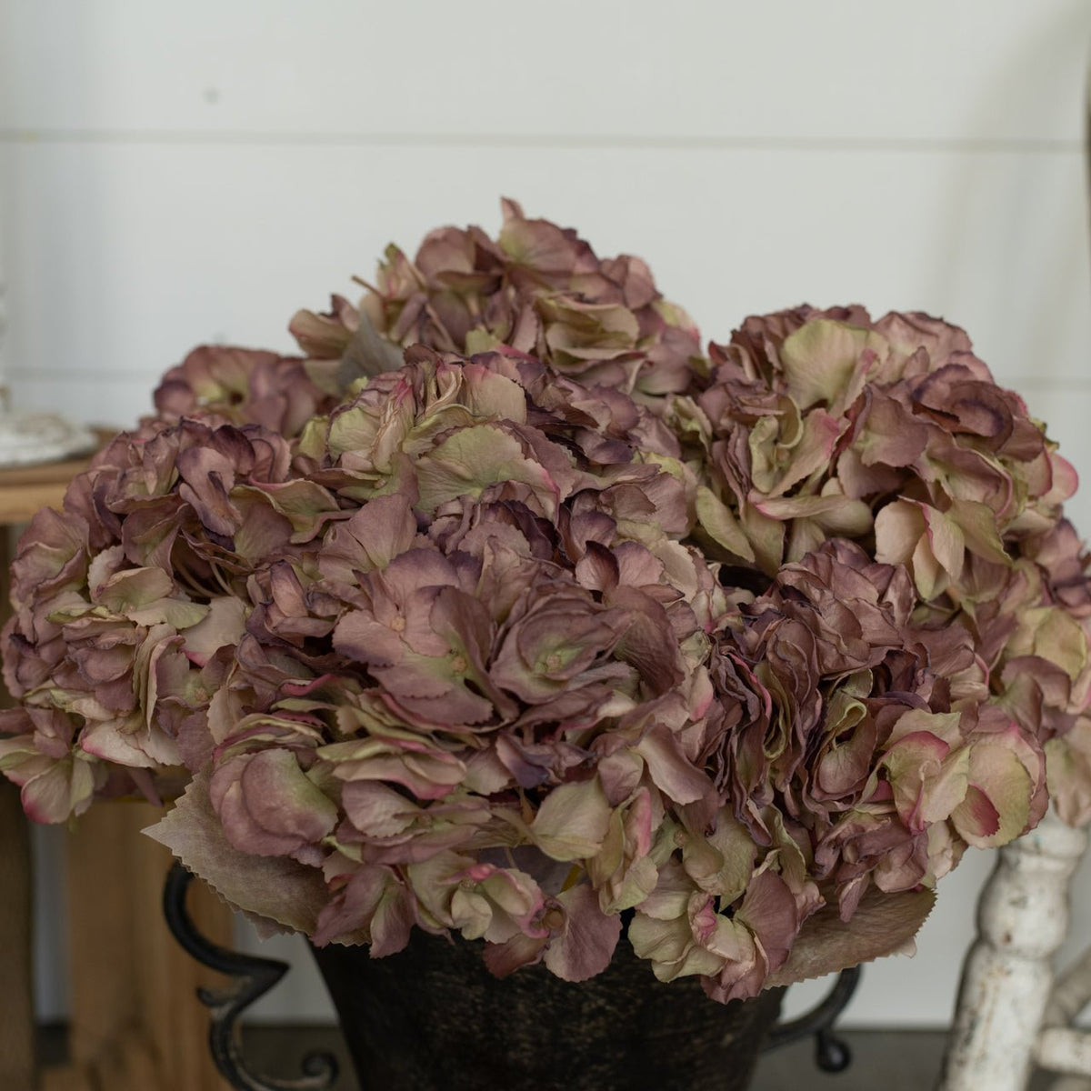 Antique Mauve Hydrangea Stem - A Cottage in the City