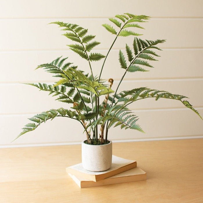 Artificial Fern In Cement Pot - A Cottage in the City