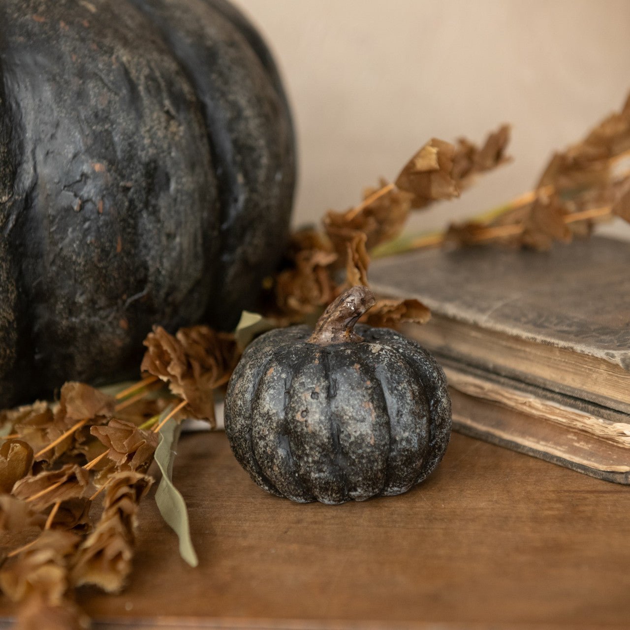 Black Mache Pumpkin - A Cottage in the City