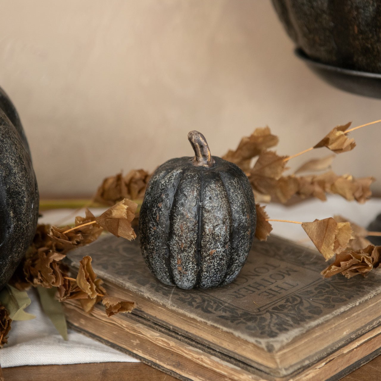 Black Mache Pumpkin - A Cottage in the City