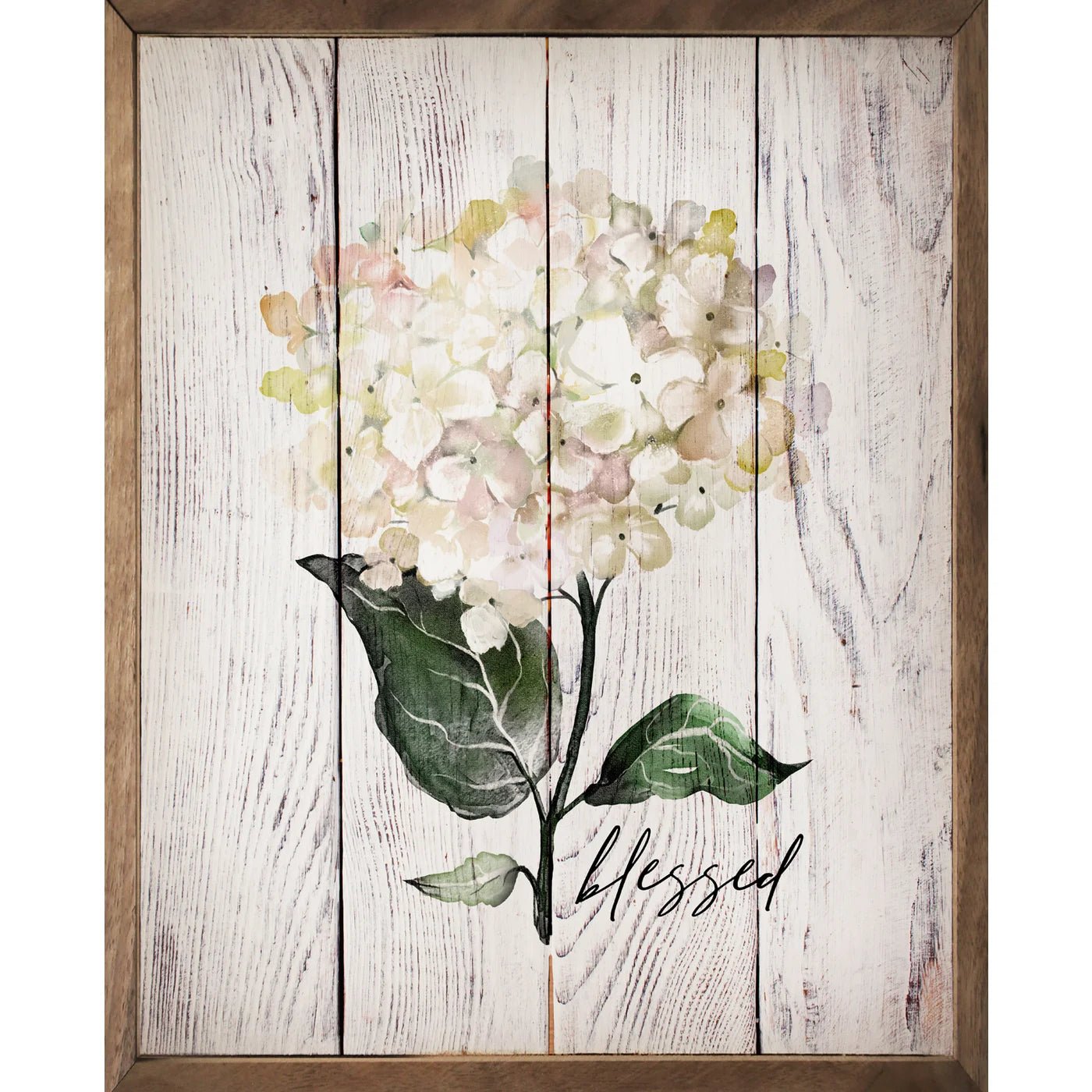 Blessed White Hydrangea Whitewash Wood Framed Print - A Cottage in the City