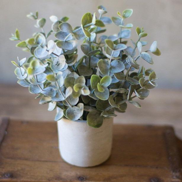 Boxwood Sage Plant In Concrete Pot Set - A Cottage in the City