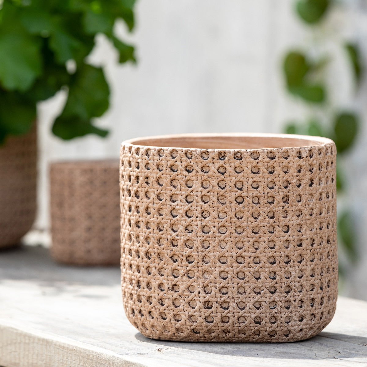 Cane Relief Pattern Cement Pot - A Cottage in the City