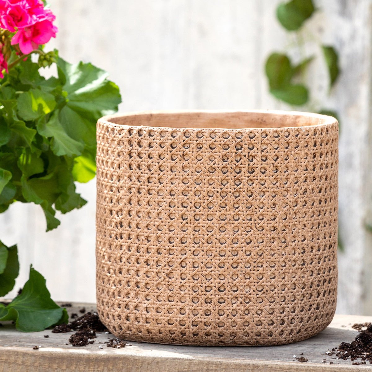 Cane Relief Pattern Cement Pot - A Cottage in the City