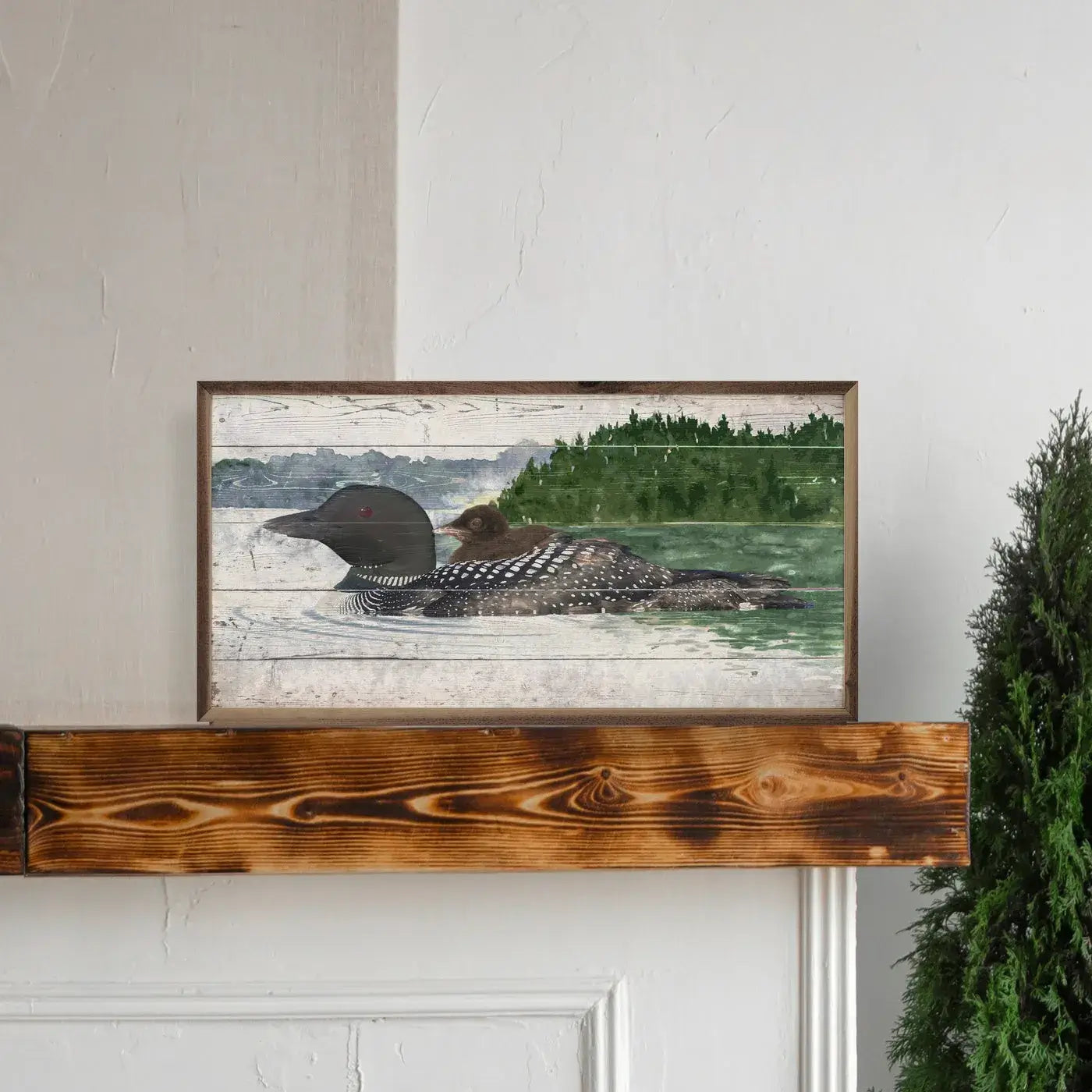 Loon And Baby On Water Wood Framed Print