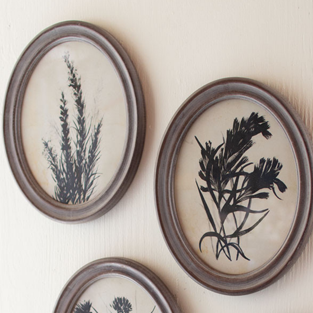 Oval Botanical Framed Prints