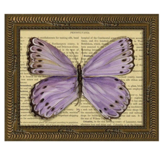 KG Butterfly Framed Art Print