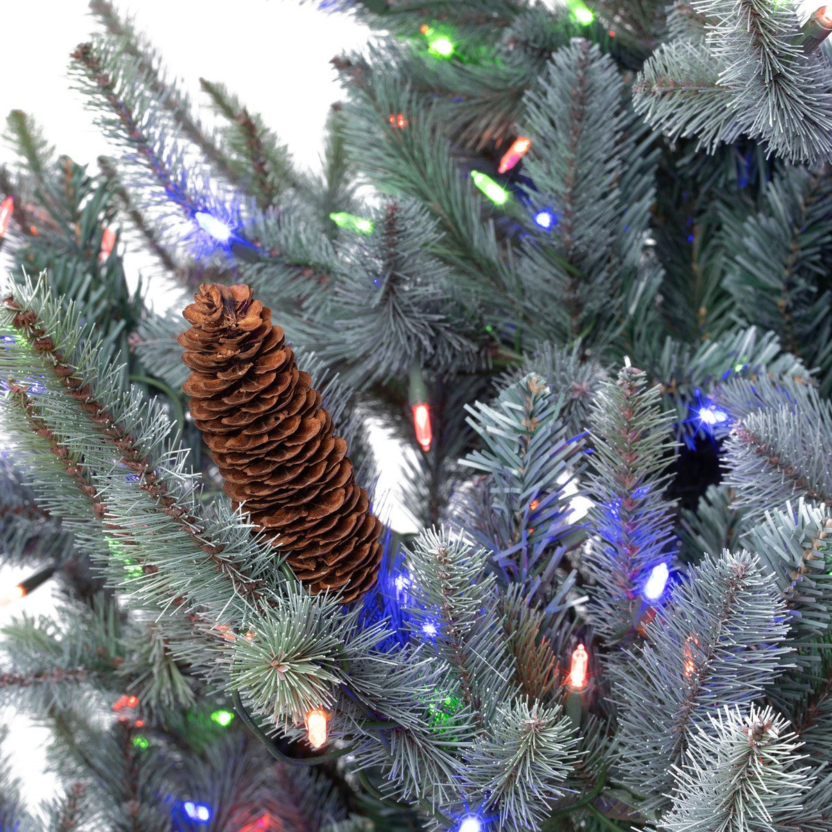 7.5' Park Hill Blue Spruce LED Clear/Multi-Color Option