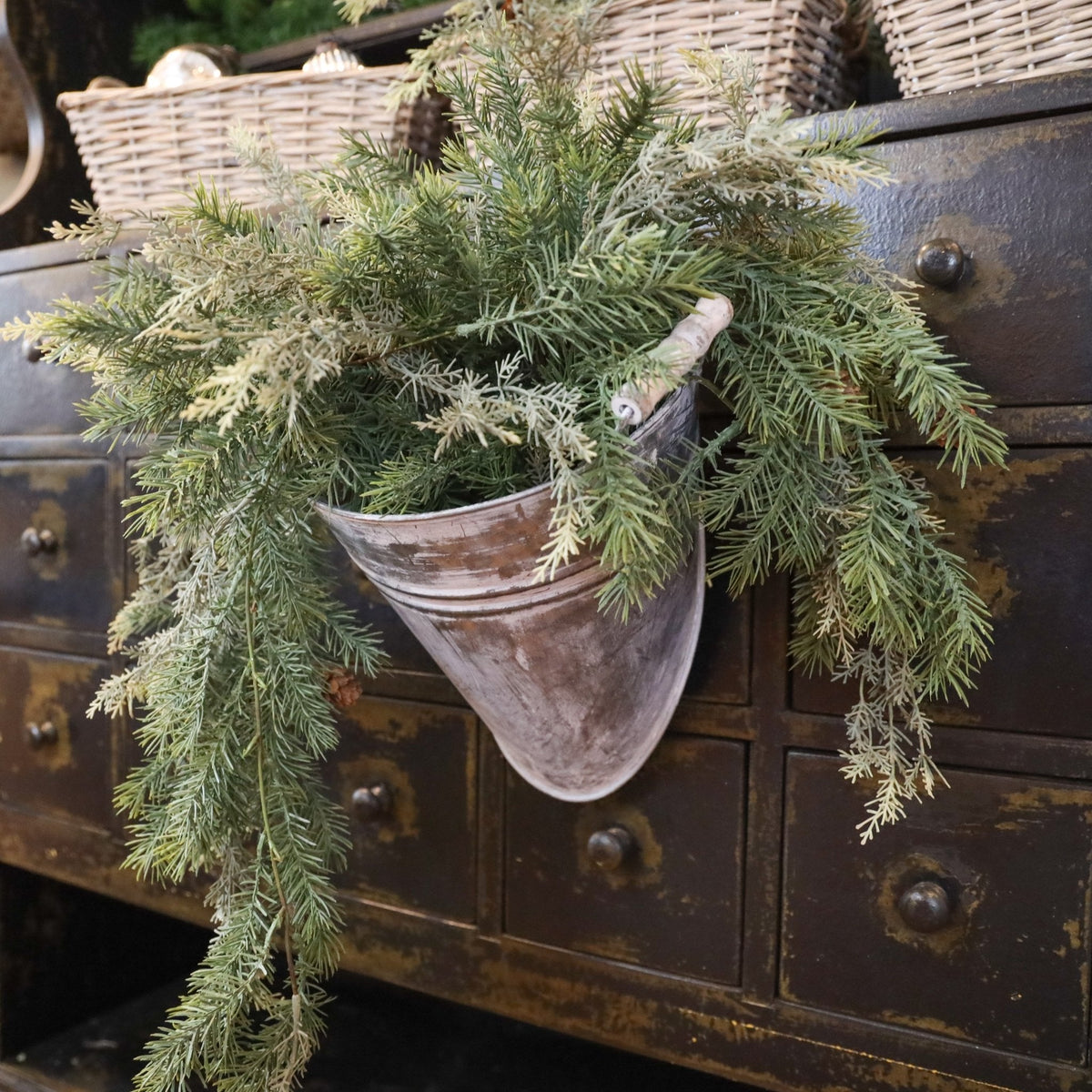 Angel Pine &amp; Cyprus Hanging Bush