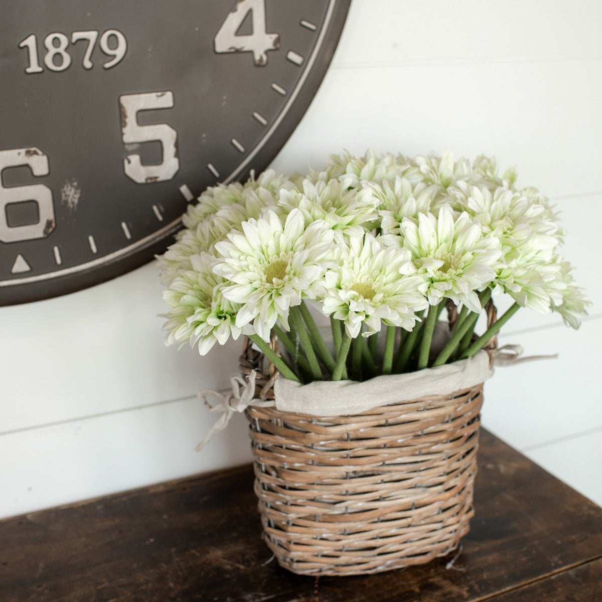 Cream Gerbera Daisy Stem