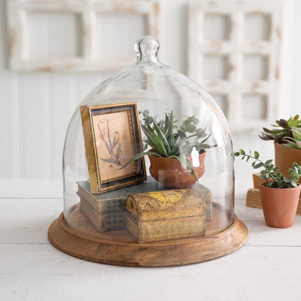 Glass Bell Cloche With Wood Base