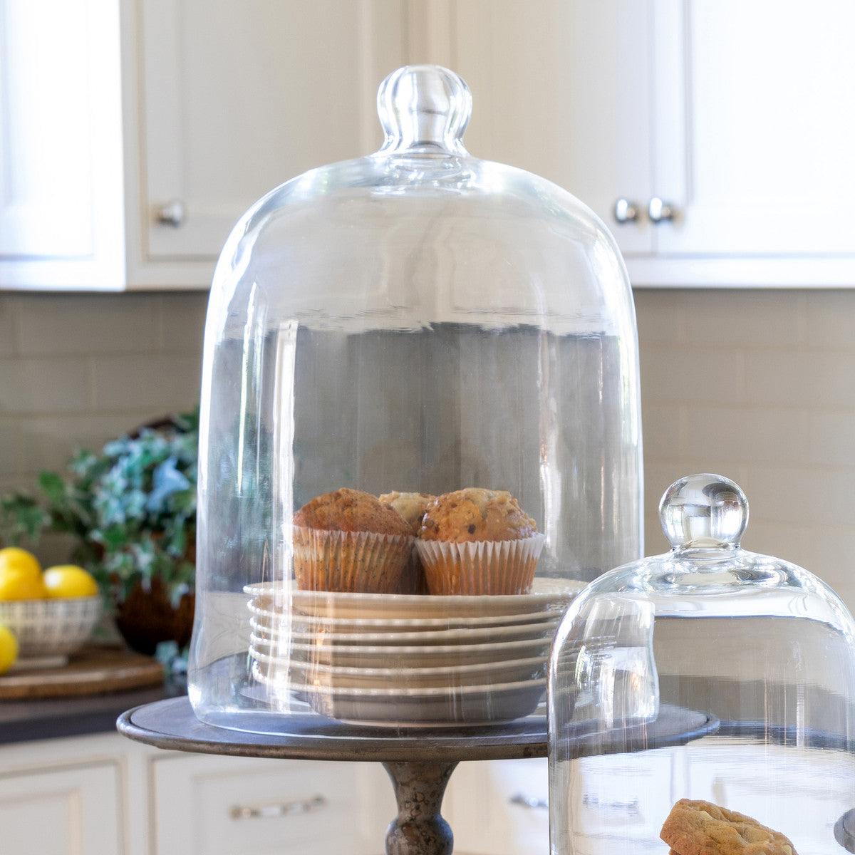 Glass Bell Jar