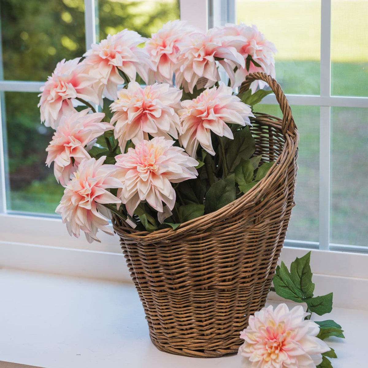 Light Pink Dahlia Stem