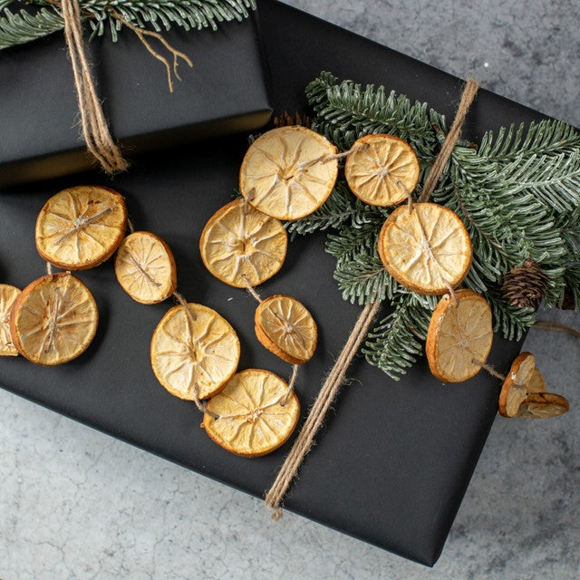 Orange Slice Garland