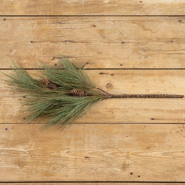 River Pine Spray With Pinecones